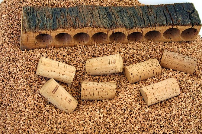 Small Group Tour - Tempio Pausania, Luras, The Gallura County- SARDINIA - ITALY - Visiting the Ancient Olives of Luras