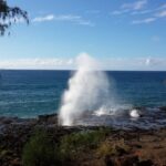 Small-Group Waimea Canyon Adventure Tour & Beyond with Lunch - Visiting the Iconic Waimea Canyon and Its Limitations