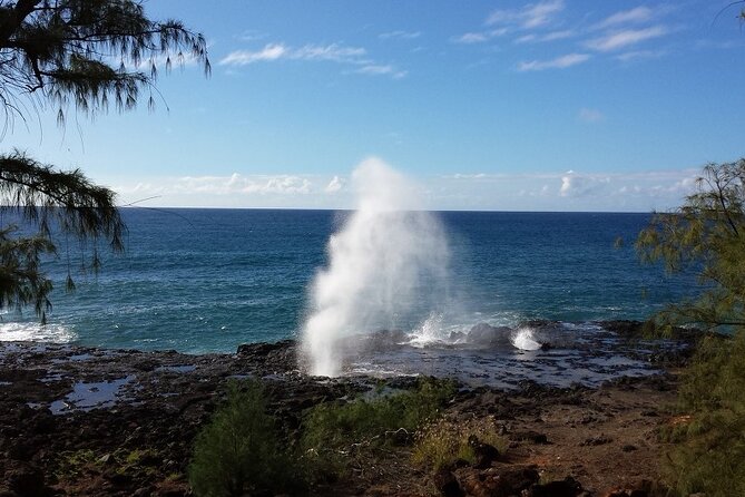Small-Group Waimea Canyon Adventure Tour & Beyond with Lunch - Visiting the Iconic Waimea Canyon and Its Limitations