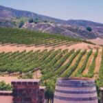 Small Group Wine Tour to Temecula from Los Angeles - Visit Temecula Valley Wine Country
