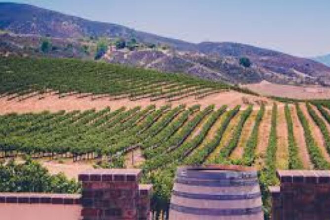 Small Group Wine Tour to Temecula from Los Angeles - Visit Temecula Valley Wine Country