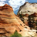 Small-Group Zion National Park Day Tour from Las Vegas - Stops at Zion Canyon Visitor Center and Scenic Drive