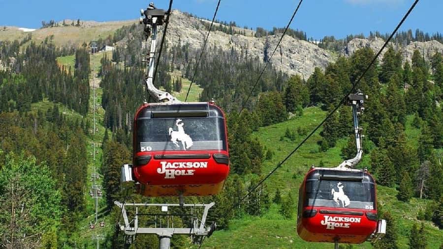 Small Group:4 or 5-Day Yellowstone&Grand Teton Tour from SLC - Exploring Jackson Hole Aerial Tram and Mountain Views