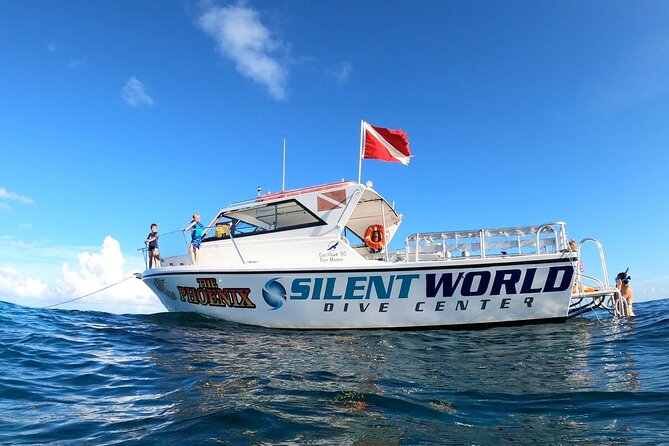 Small - Guided Shallow 2 Tank Dive Experience in Key Largo ALL GEAR INCLUDED - The Location and Starting Point in Key Largo