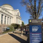 Smithsonian National Museum of Natural History Guided Tour - Navigating the Museum’s Vast Collection with a Guide