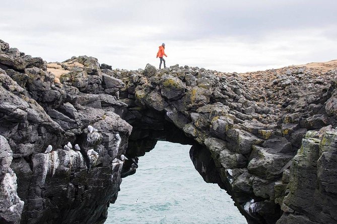 Snaefellsnes Peninsula Full Day Tour from Reykjavik - The Iconic Berserkjahraun Lava Fields
