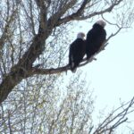 Snake River FullDay Group Fishing Trip - The Scenic Location of Jackson and Teton Area
