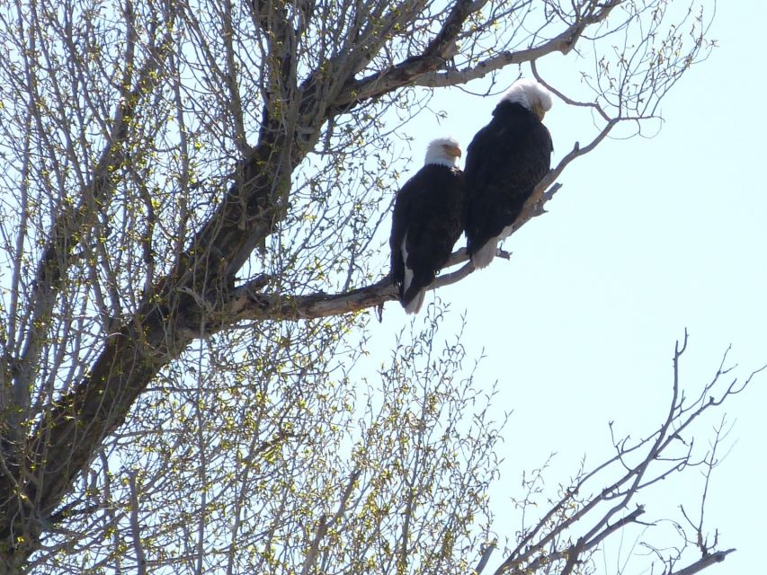 Snake River FullDay Group Fishing Trip - The Scenic Location of Jackson and Teton Area