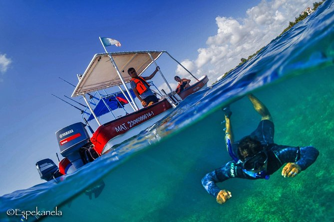 Snorkel boat tour in search of turtles - Costa Mayas Calm Reef Lagoon: The Perfect Snorkeling Setting