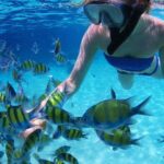 Snorkel in the turquoise Caribbean Sea in Puerto Morelos. Transport included - Snorkeling at Arrecifes National Park: One of the Largest Reef Walls