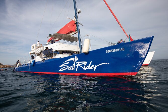 Snorkel, Lunch & Sail in Cabo San Lucas - Visiting Land’s End and Other Famous Cabo Landmarks
