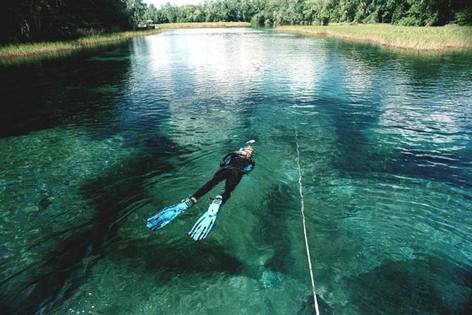 Snorkel Or Dive The Amazing Rainbow River Florida - The Experience Begins at Crystal River