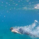 Snorkel Privately in Cabo San Lucas - The Expertise of Your Guides and Marine Spot Selection