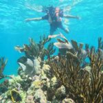Snorkel Tour on the Costa Maya with experienced Guid - The Costa Maya Reef: A Second Barrier of Coral and Colorful Fish