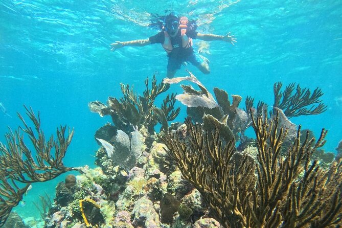 Snorkel Tour on the Costa Maya with experienced Guid - The Costa Maya Reef: A Second Barrier of Coral and Colorful Fish