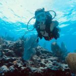 Snorkel Tour - Visit 2 Shallow Reefs John Pennekamp State Park - Navigating the Reef Locations: Grecian Rocks and Horseshoe Reef