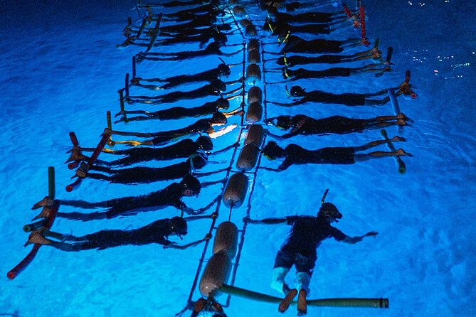 Snorkel with Manta Rays Guaranteed - Sunset Sail on the Hokulani: Setting the Scene for Nighttime Manta Watching