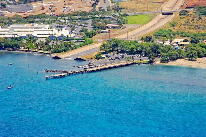 Snorkel with Turtles and Free Underwater Photos Lahaina - What Marine Life Will You Encounter at Mala Wharf?