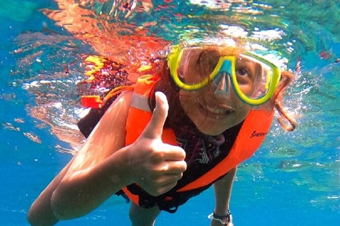 Snorkel with whale sharks includes equipment & transportation - The Starting Point and Transportation Convenience in Cabo San Lucas