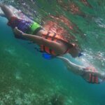 Snorkeling Adventure in Puerto Morelos Includes snack, Water and Round Trip. - Board a Pristine Boat for Reef Snorkeling