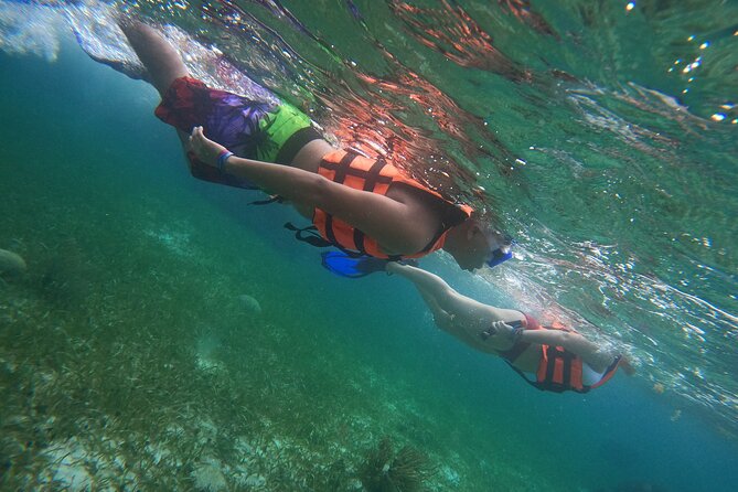 Snorkeling Adventure in Puerto Morelos Includes snack, Water and Round Trip. - Board a Pristine Boat for Reef Snorkeling