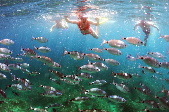 SNORKELING ADVENTURE | Pula Boat - Pulas Snorkeling Spots and Underwater Encounters