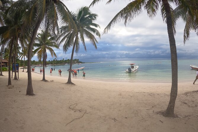 Snorkeling Adventure with Sea Turtles and Cenote Exploration - Exploring Cenote Minotauro: A Mystical Waterworld