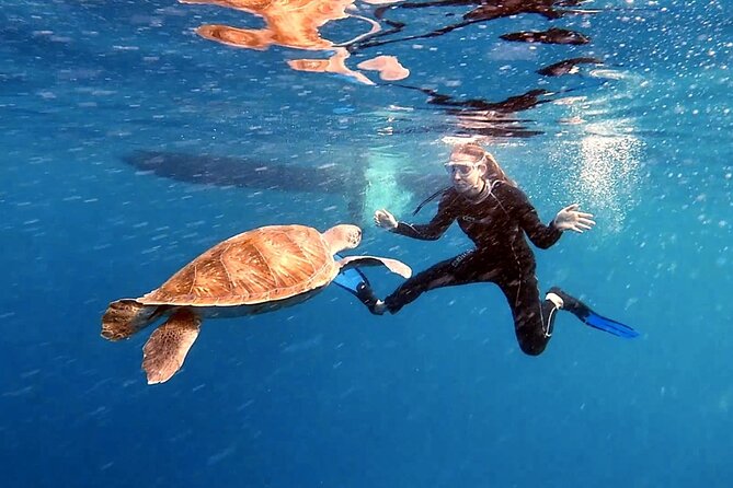 Snorkeling excursion in the Rayas and Turtles Zone - What to Expect During the Snorkeling Excursion