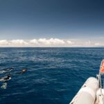 Snorkeling Experience in Terceira Island - What Happens During the Snorkeling Experience