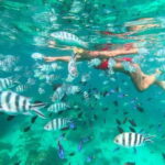 Snorkeling Express Puerto Morelos - Logistical Details of Pickup and Drop-off