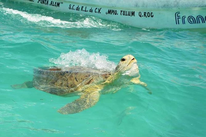 Snorkeling in Sian Ka'an - Exploring the Sian Kaan Biosphere: Main Destinations and Stops