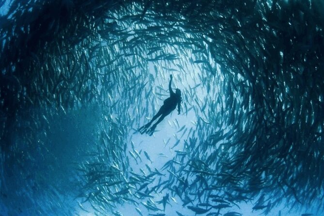 Snorkeling Tour at Land's End in Cabo San Lucas - Exploring Lands End at Your Own Pace