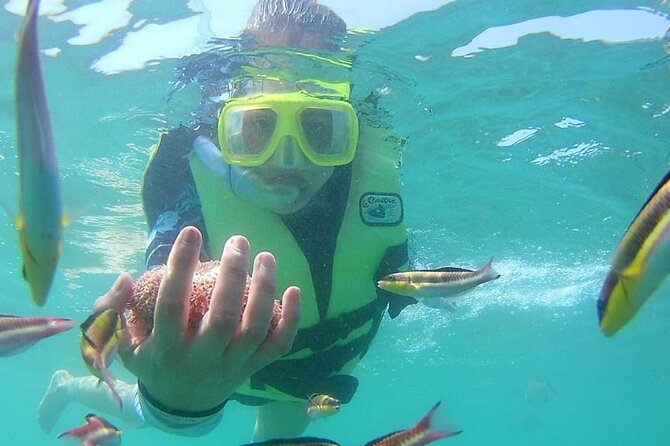 Snorkeling Tour in Ixtapa Island - Exploring Ixtapa Island’s Coral Reefs and Marine Life