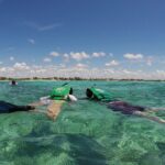 Snorkeling with Caribbean fish and private cenote exploration - The Tour Starts in Tulum’s Central Meeting Point