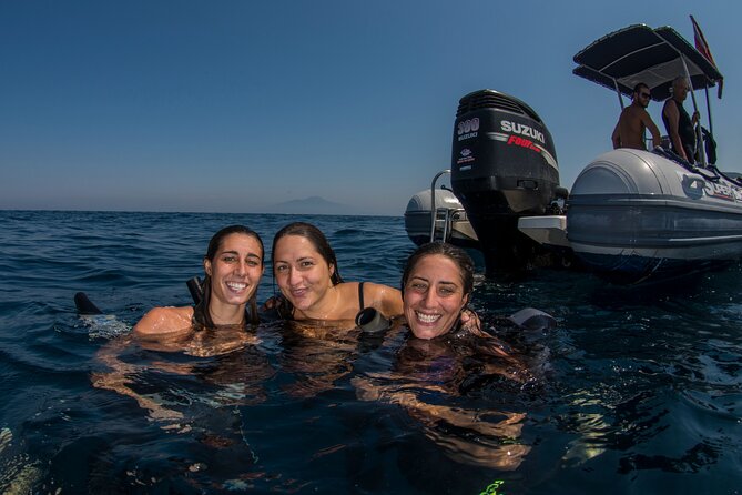 Snorkeling with Marine Biologist Expert from Sorrento - The Underwater World: Marine Life and Sightings