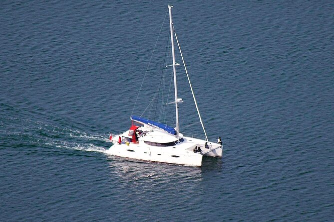 Snorkeling with Orcas In Norway, 4 days All-Inclusive expedition - Expert Guides and Experienced Crew Members