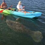Snowbirds Paddle Club Guided Kayak and Paddleboard Sessions - The Paddling Experience: Calm, Unrushed, and Wildlife-Focused