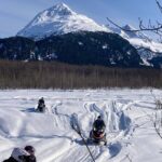 Snowmobile and Snowshoe Dual Adventure in Kenai Fjords NP - Snowmobiling on Well-Maintained, Late-Model Machines