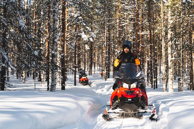 Snowmobile Safari into the Arctic Circle Forest - Exploring Arctic Forest Trails on a Snowmobile