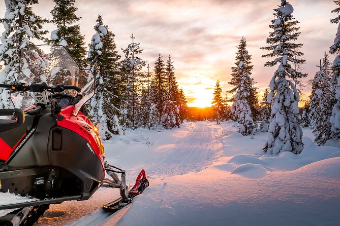 Snowmobile Tours in Rovaniemi Lapland - From Snowy Trails to Frozen Lakes: The Itinerary