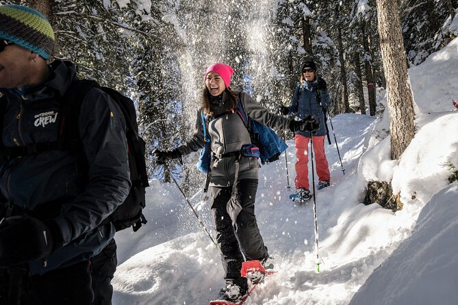 Snowshoe Adventure in the Swiss Alps - What Equipment Is Included and What to Consider