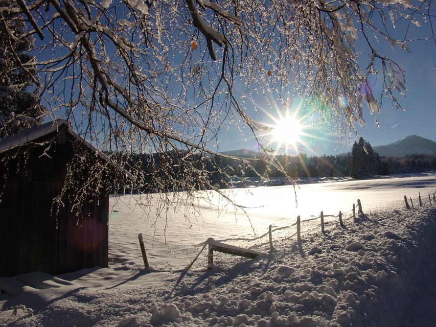 Snowshoe hike in the Allgäu - Accessibility and Suitability