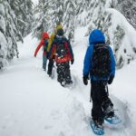 Snowshoe Rentals in South Lake Tahoe - Booking in Advance and Cancellation Policies