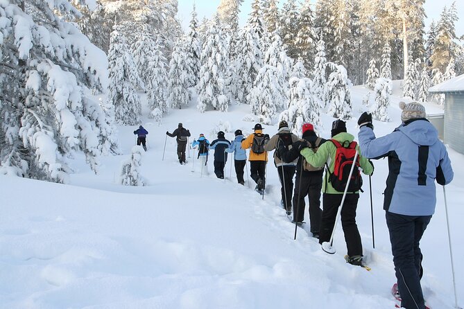 Snowshoe Tour in the Lake Tahoe Mountains - Snowshoeing with Expert Guides in Tahoes Winter Landscape