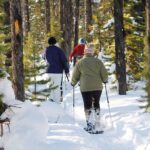 Snowshoeing In Vancouver's Winter Wonderland - Exploring Cypress Provincial Park’s Snowshoe Trails