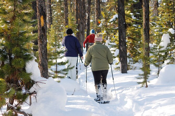 Snowshoeing In Vancouver's Winter Wonderland - Exploring Cypress Provincial Park’s Snowshoe Trails