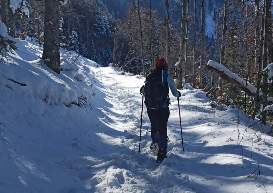 Snowshoeing tour to the peak Ostri Vrv on Jakupica mountain - Starting from Skopje to Jakupica: Convenient Transfer and Pickups