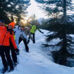 SNOWSHOES: snowshoeing at high altitude in Paganella: Monte Canfedin - The Route: From the Mountain Top to the Forest