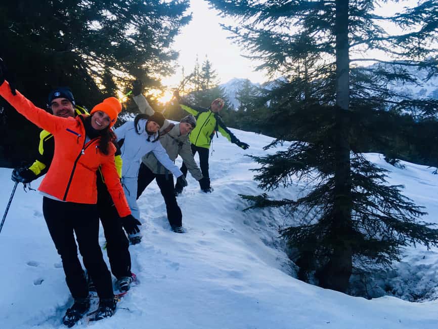 SNOWSHOES: snowshoeing at high altitude in Paganella: Monte Canfedin - The Route: From the Mountain Top to the Forest