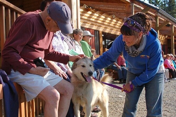 Snuggle Puppies and Learn about the Iditarod - The Ultimate Introduction to Alaskan Sled Dogs at Husky Homestead